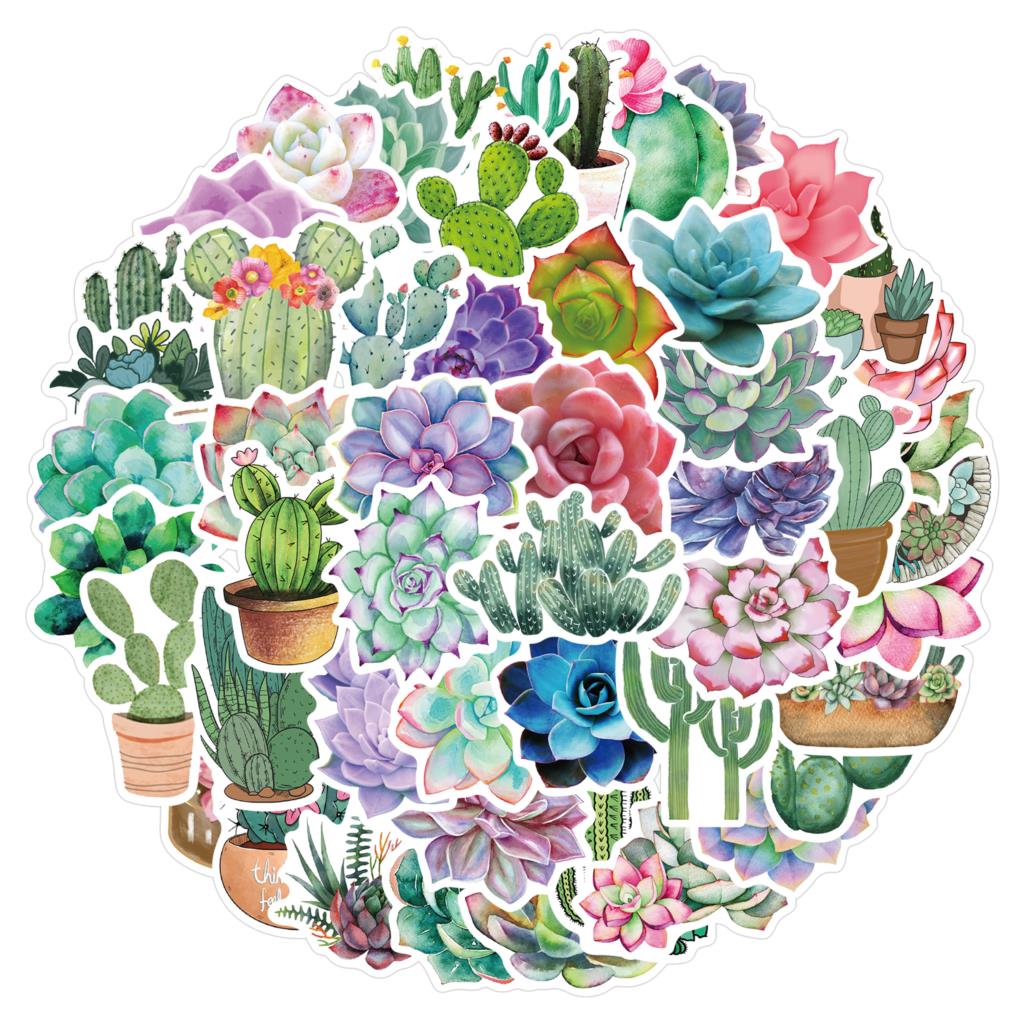 50枚の多肉植物ステッカー,ラップトップ用,植物の作成,植物 - Laptop Accessories Girly のレビューと価格