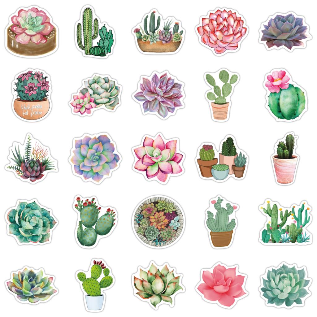 50枚の多肉植物ステッカー,ラップトップ用,植物の作成,植物 - Laptop Accessories Girly のレビューと価格