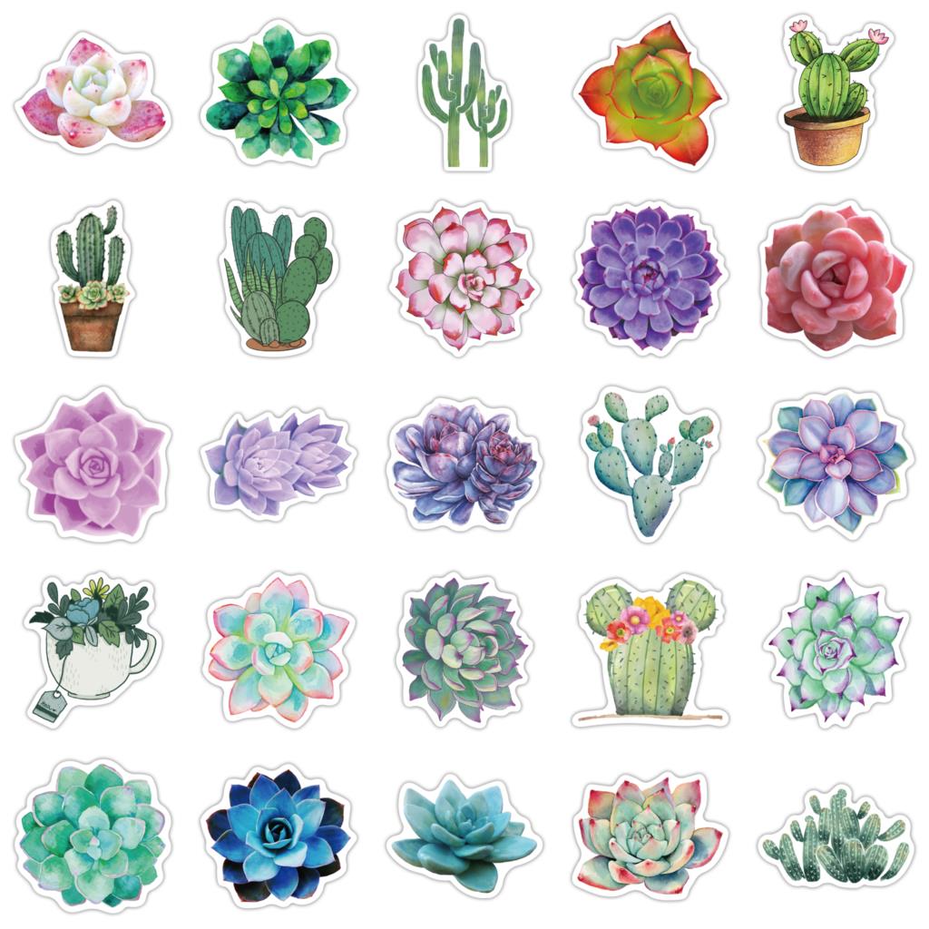 50枚の多肉植物ステッカー,ラップトップ用,植物の作成,植物 - Laptop Accessories Girly のレビューと価格