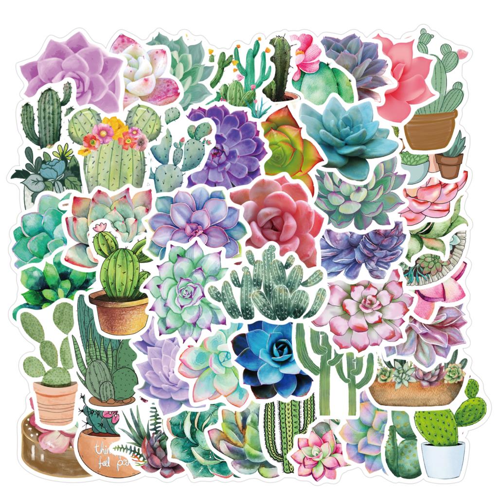 50枚の多肉植物ステッカー,ラップトップ用,植物の作成,植物 - Laptop Accessories Girly のレビューと価格